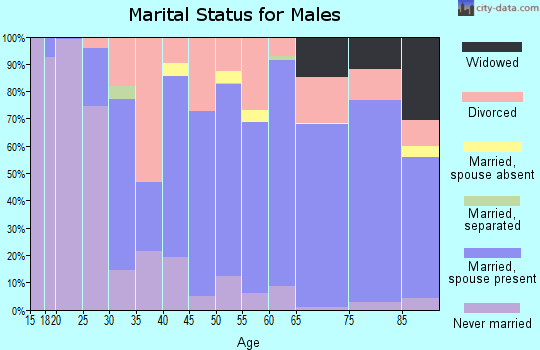 Zip code 54848 marital status for males