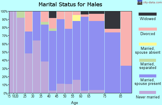 Zip code 54849 marital status for males
