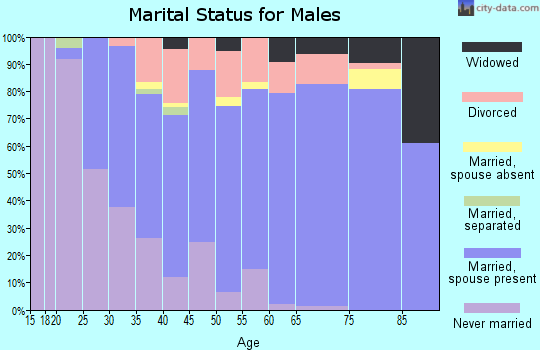 Zip code 54853 marital status for males