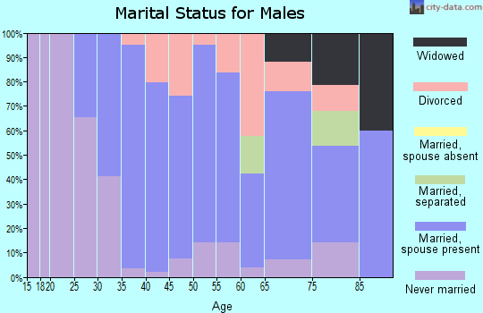 Zip code 54854 marital status for males