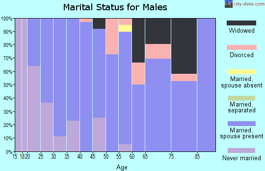 Zip code 54855 marital status for males