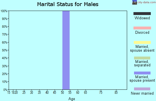 Zip code 54857 marital status for males