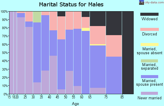 Zip code 54858 marital status for males