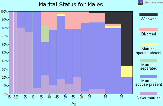Zip code 54859 marital status for males
