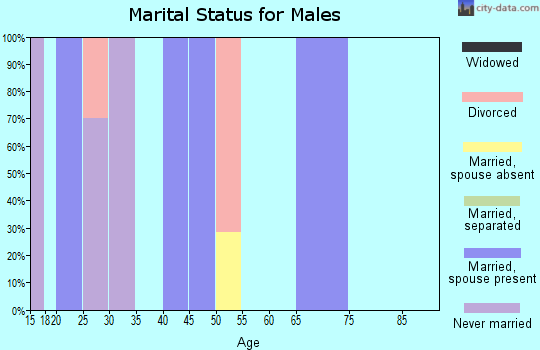 Zip code 54861 marital status for males