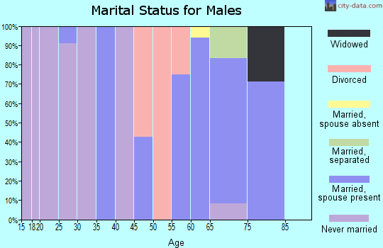 Zip code 54862 marital status for males