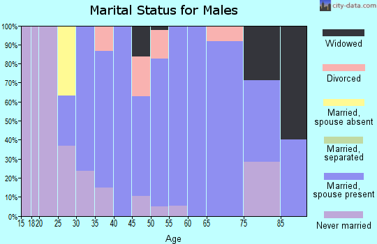 Zip code 54864 marital status for males
