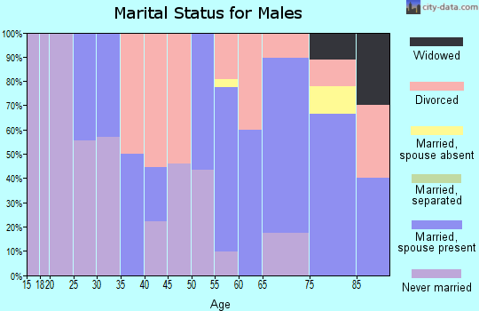 Zip code 54865 marital status for males