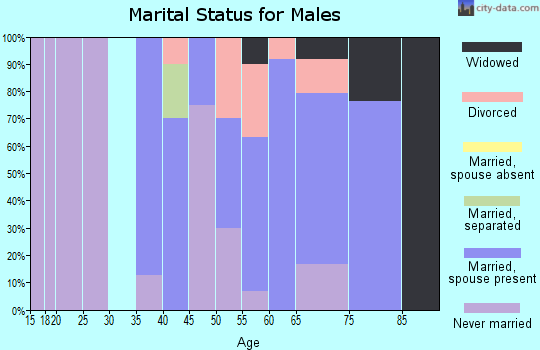 Zip code 54867 marital status for males