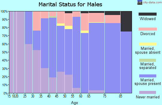 Zip code 54870 marital status for males