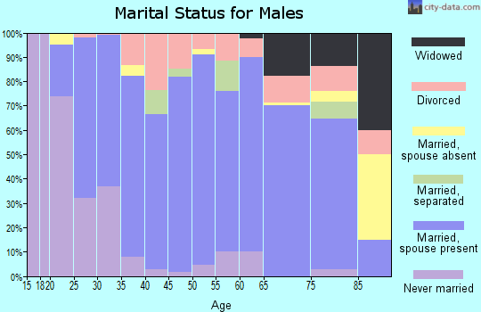 Zip code 54871 marital status for males