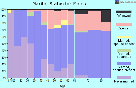 Zip code 54872 marital status for males