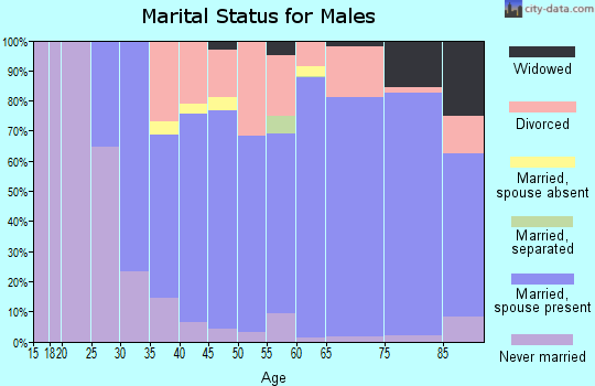 Zip code 54873 marital status for males
