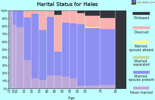 Zip code 54875 marital status for males