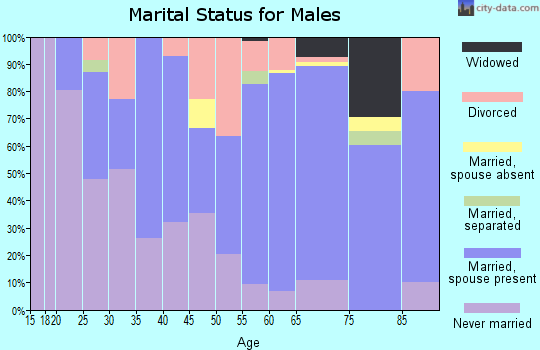 Zip code 54876 marital status for males
