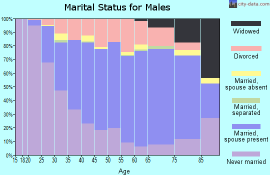 Zip code 54880 marital status for males