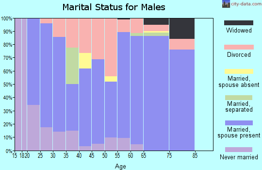 Zip code 54888 marital status for males