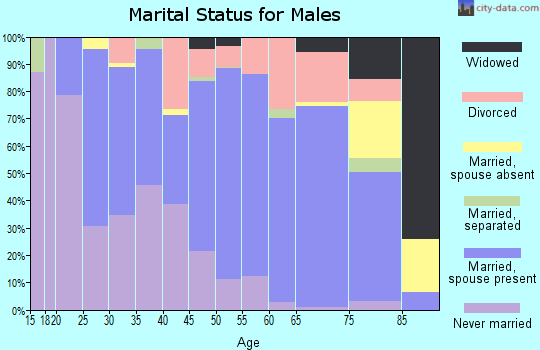 Zip code 54891 marital status for males