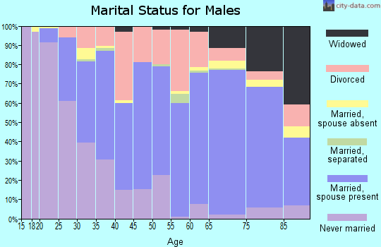 Zip code 54902 marital status for males