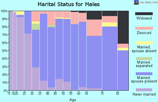 Zip code 54904 marital status for males