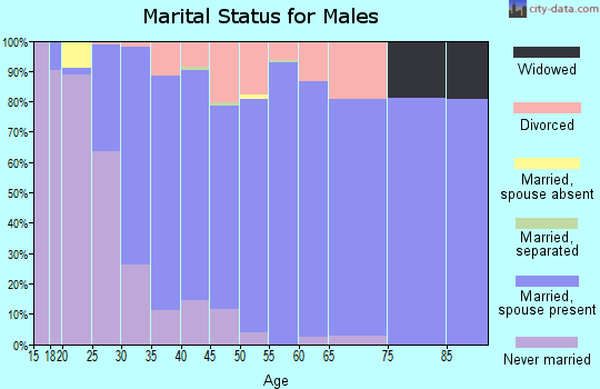 Zip code 54913 marital status for males