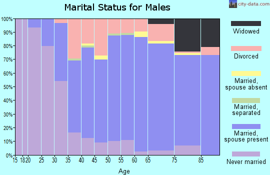 Zip code 54923 marital status for males