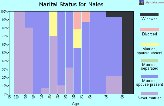 Zip code 54928 marital status for males