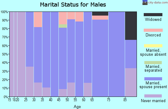 Zip code 54932 marital status for males