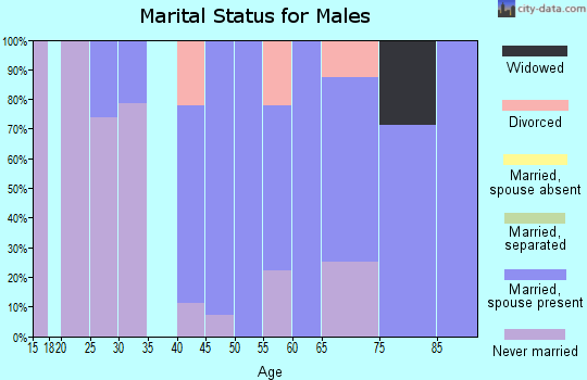 Zip code 54933 marital status for males