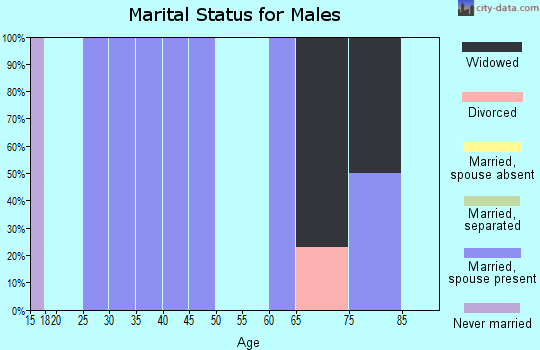Zip code 54934 marital status for males