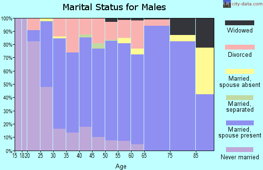 Zip code 54937 marital status for males
