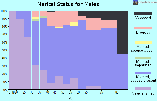 Zip code 54940 marital status for males