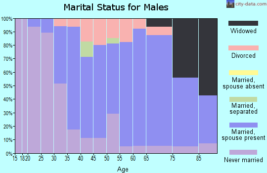 Zip code 54941 marital status for males