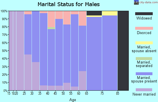 Zip code 54942 marital status for males