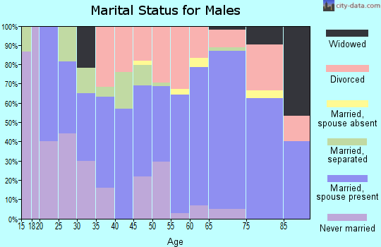 Zip code 54943 marital status for males