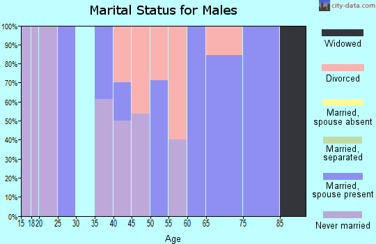 Zip code 54948 marital status for males