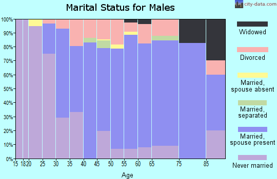 Zip code 54949 marital status for males