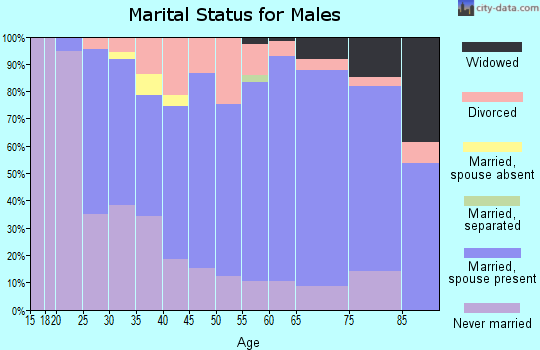 Zip code 54950 marital status for males