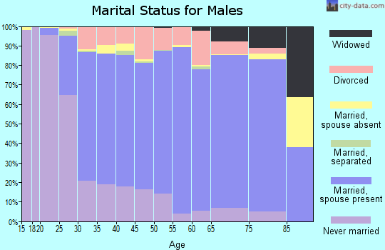 Zip code 54956 marital status for males