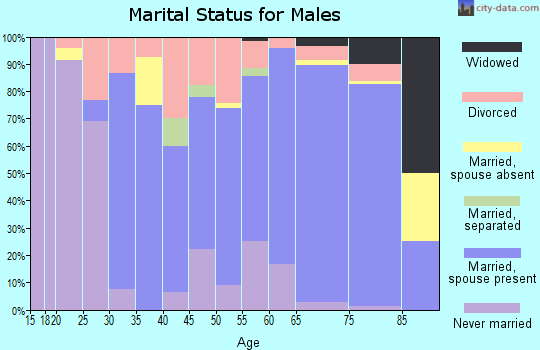 Zip code 54960 marital status for males