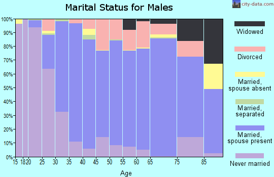 Zip code 54961 marital status for males