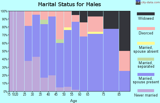 Zip code 54962 marital status for males