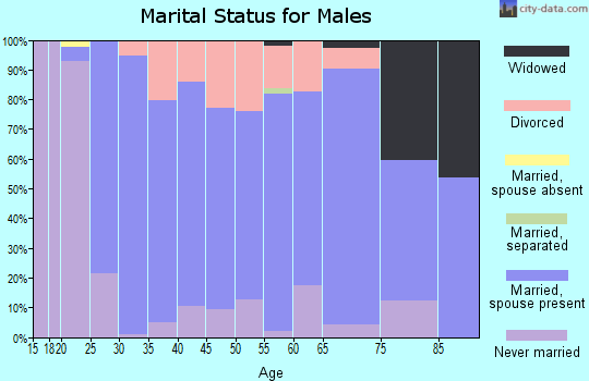 Zip code 54963 marital status for males