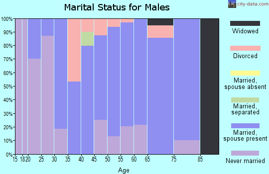 Zip code 54964 marital status for males