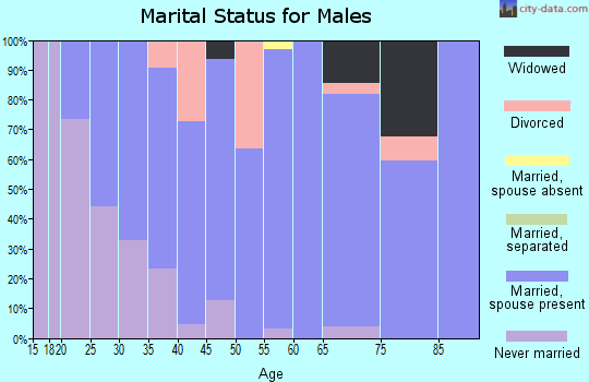 Zip code 54974 marital status for males