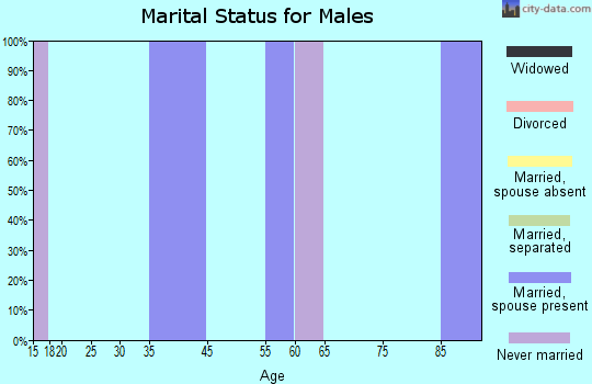 Zip code 54976 marital status for males