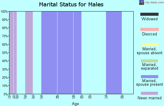 Zip code 54978 marital status for males