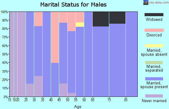 Zip code 54979 marital status for males