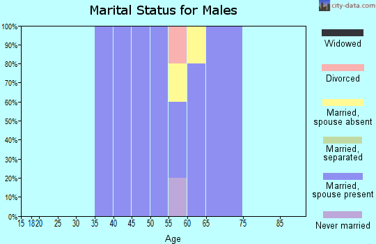 Zip code 54980 marital status for males