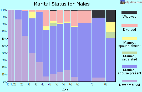 Zip code 54983 marital status for males